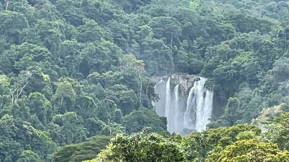 PLAYA DOMINICAL WATERFALL HOMESITES: A TRANQUIL RETREAT FOR YOUR RETIREMENT DREAMS – 2.5 TO 3.5 ACRES, photo 17
