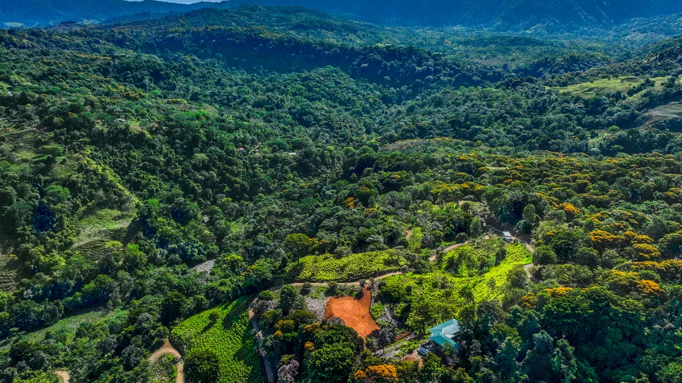 PLAYA DOMINICAL WATERFALL HOMESITES: A TRANQUIL RETREAT FOR YOUR RETIREMENT DREAMS – 2.5 TO 3.5 ACRES, photo 19