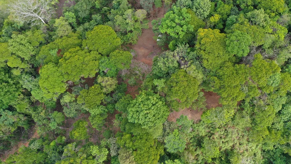 PLAYA DOMINICAL WATERFALL HOMESITES: A TRANQUIL RETREAT FOR YOUR RETIREMENT DREAMS – 2.5 TO 3.5 ACRES, photo 21