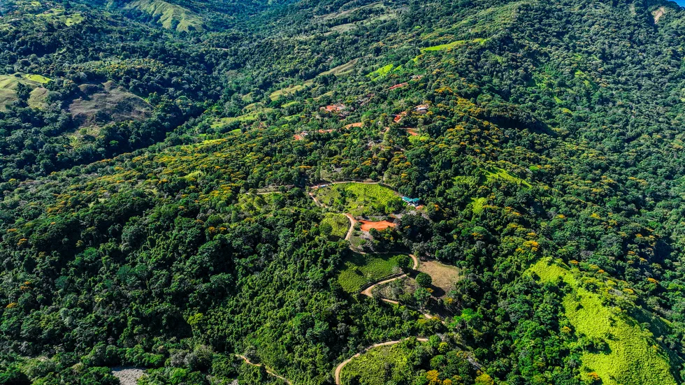 PLAYA DOMINICAL WATERFALL HOMESITES: A TRANQUIL RETREAT FOR YOUR RETIREMENT DREAMS – 2.5 TO 3.5 ACRES, photo 22