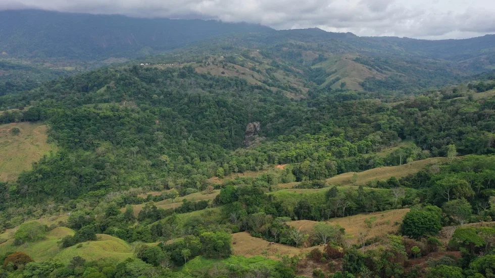 PLAYA DOMINICAL WATERFALL HOMESITES: A TRANQUIL RETREAT FOR YOUR RETIREMENT DREAMS – 2.5 TO 3.5 ACRES, photo 23