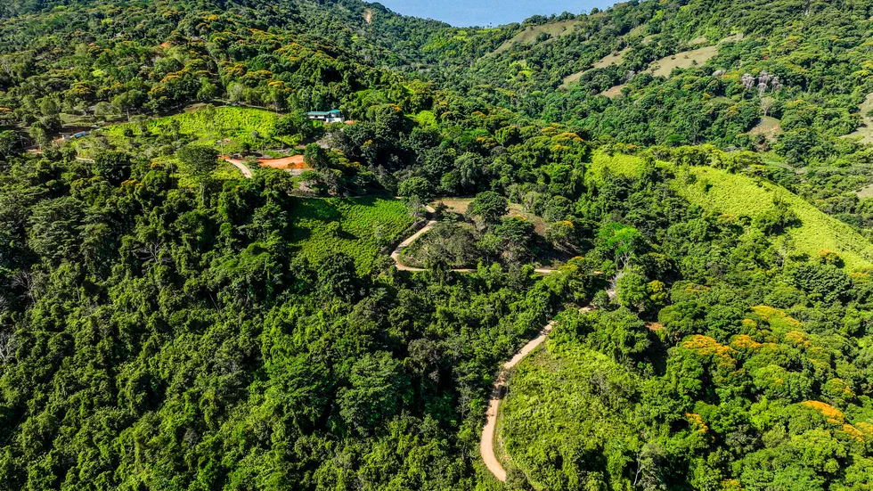 PLAYA DOMINICAL WATERFALL HOMESITES: A TRANQUIL RETREAT FOR YOUR RETIREMENT DREAMS – 2.5 TO 3.5 ACRES, photo 24