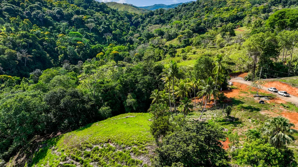 PLAYA DOMINICAL WATERFALL HOMESITES: A TRANQUIL RETREAT FOR YOUR RETIREMENT DREAMS – 2.5 TO 3.5 ACRES, photo 5