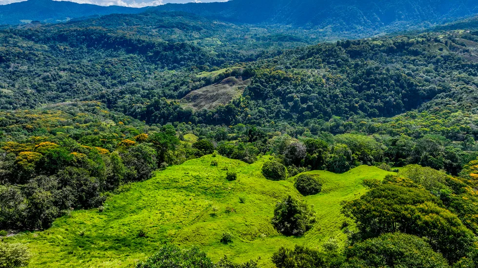 PLAYA DOMINICAL WATERFALL HOMESITES: A TRANQUIL RETREAT FOR YOUR RETIREMENT DREAMS – 2.5 TO 3.5 ACRES, photo 8