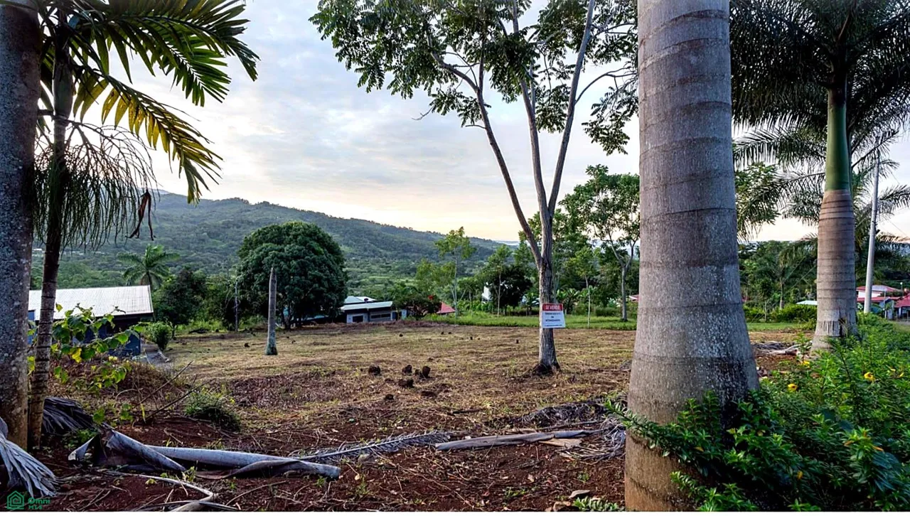 TERRENO DE 2000m² A LA VENTA Rivas, Pérez Zeledón., photo 4