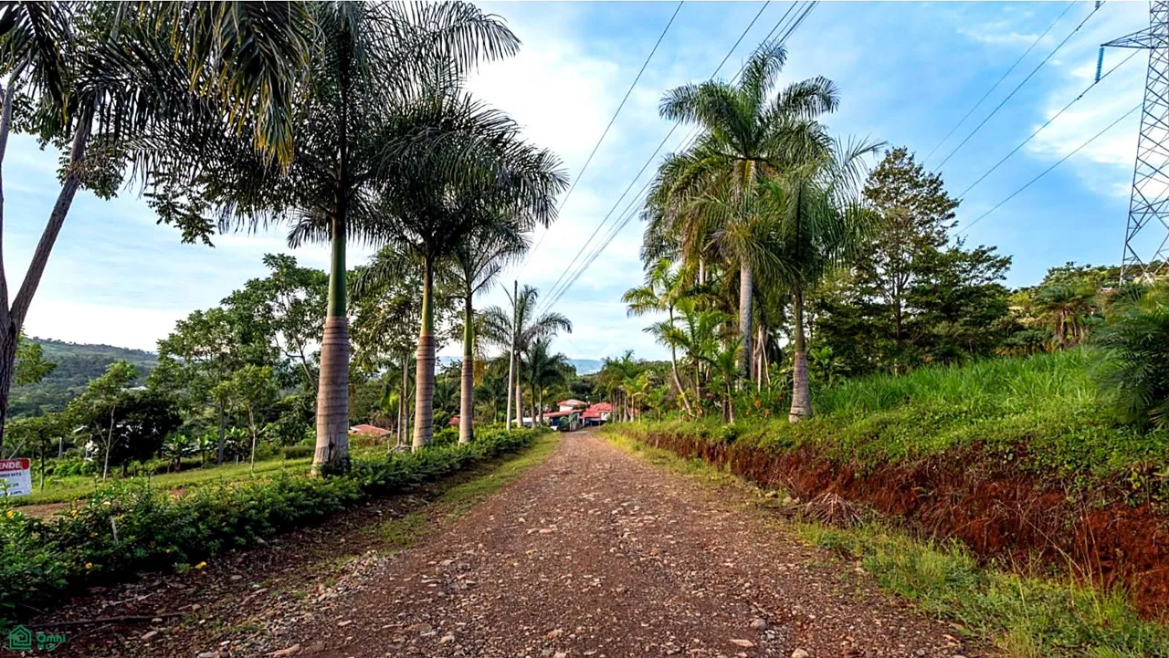 TERRENO DE 2000m² A LA VENTA Rivas, Pérez Zeledón., photo 5