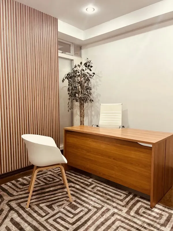CONSULTORIO U OFICINA MODERNA EN GUADALUPE. EXC UBICACIÓN EN PRESTIGIOSA CLÍNICA.  LISTO PARA OCUPAR., photo 8