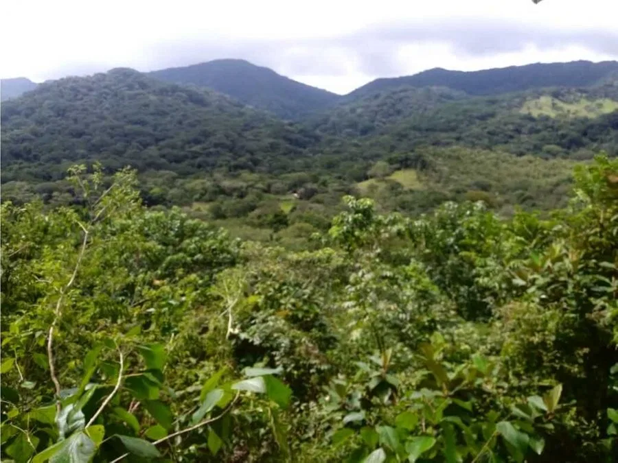 Venta Fincas en Hojancha Guanacaste