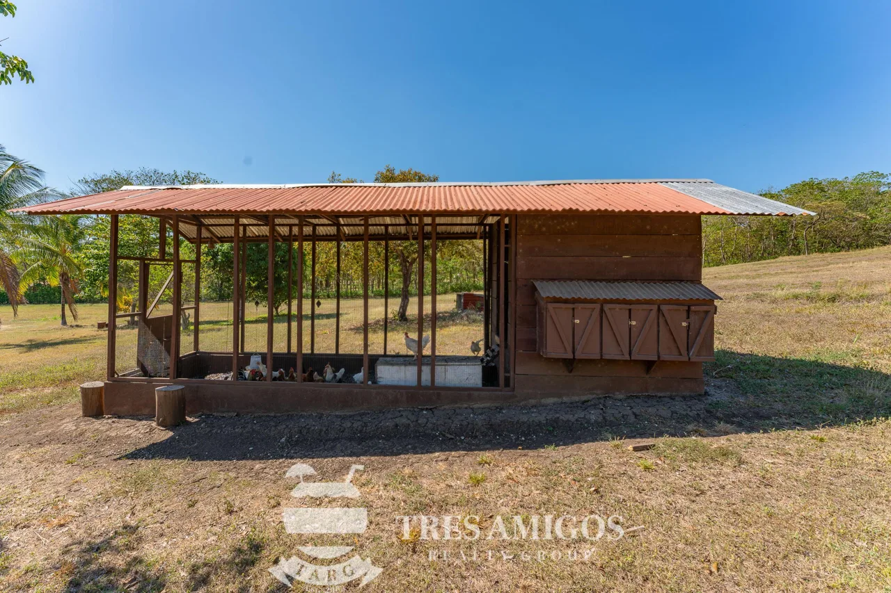 Finca la Prestancia, photo 28