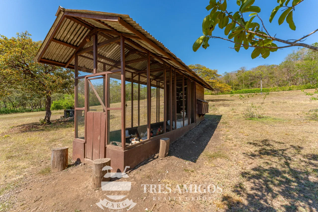 Finca la Prestancia, photo 5