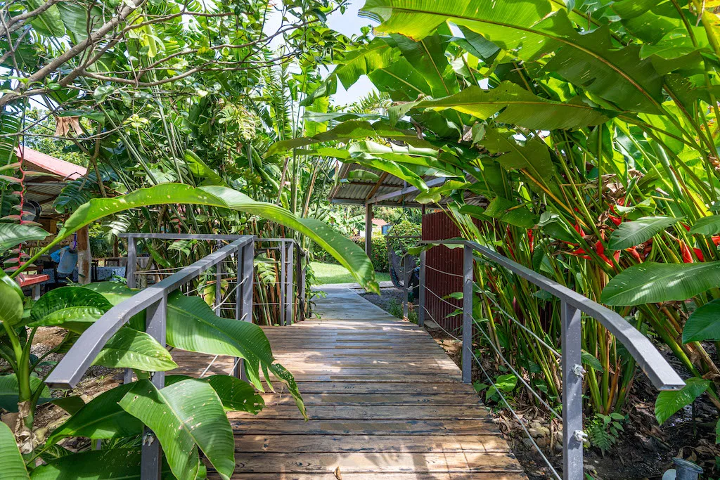 18 BEDROOMS HOTEL IN CENTRAL BAHIA BALLENA – 0.60 ACRES, photo 18