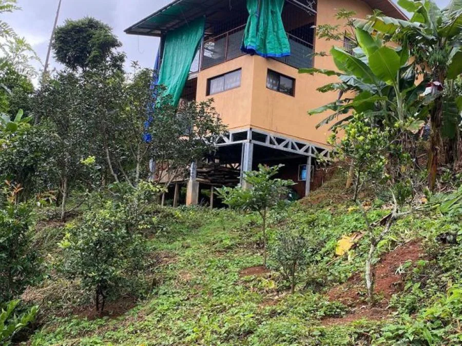 Venta de Casa en Perez Zeledón, San José. - Venta en Perez Zeledón, photo 7