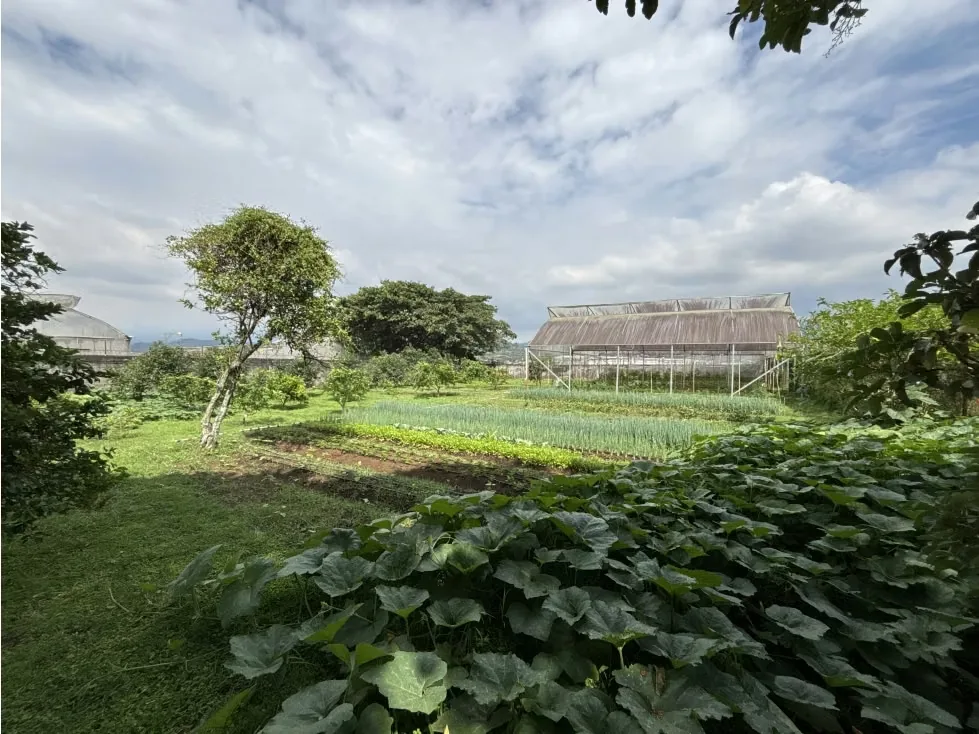 VENTA DE LOTE 3.894,78 m², SAN RAFAEL ARRIBA, DESAMPARADOS, photo 9