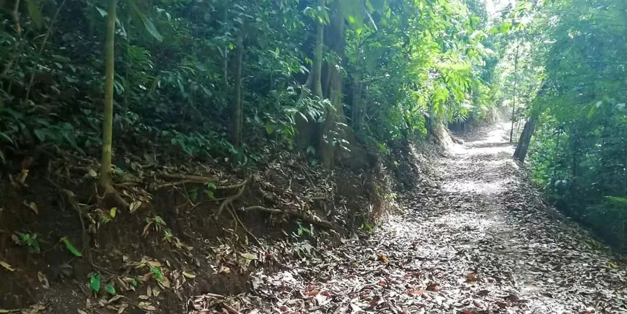 Farm in Turrubares San Jose - Ocean View Terraces - Investment ROI, photo 5