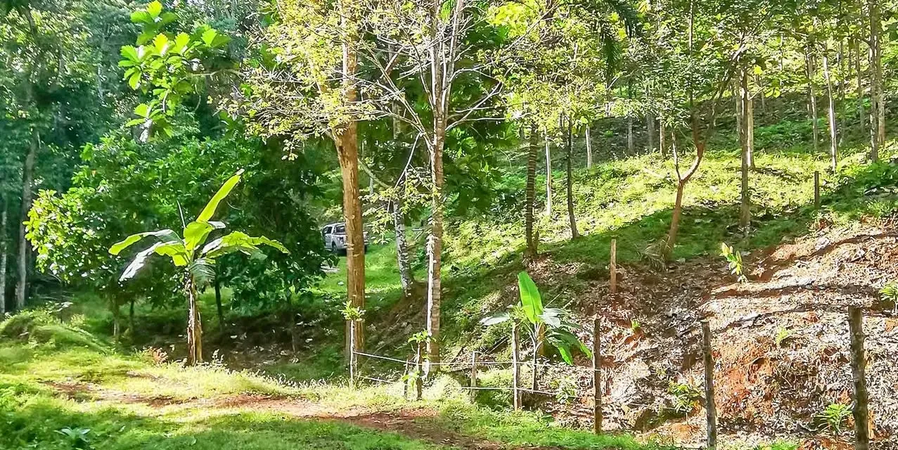 Farm in Turrubares San Jose - Ocean View Terraces - Investment ROI, photo 9