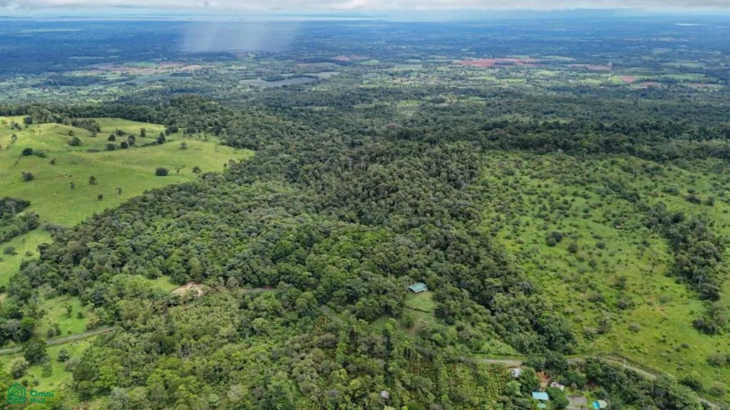 Finca Macadamia | 136-acre Rainforest Paradise with two Houses and Trails!