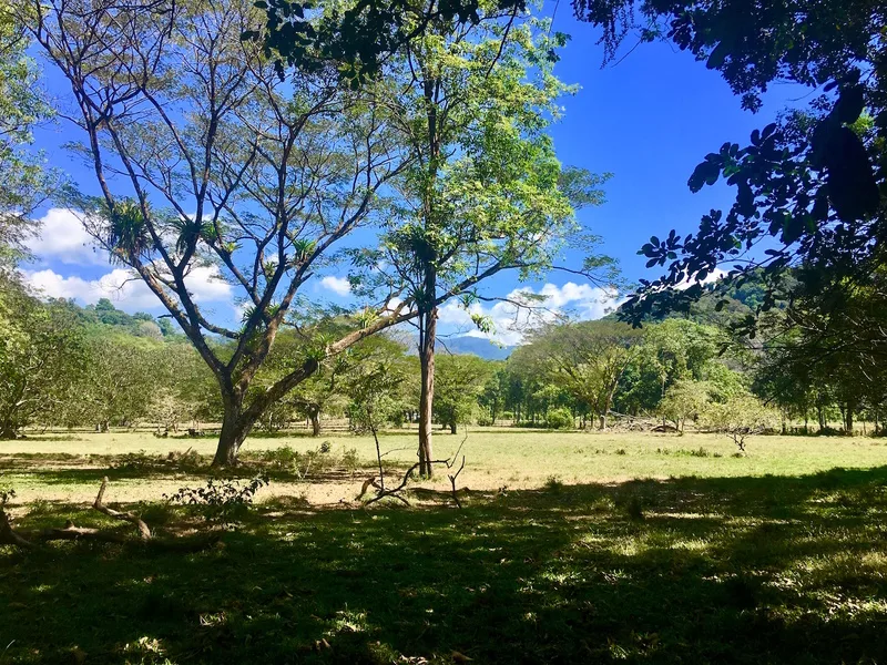 Land For Sale in Dominical, photo 11