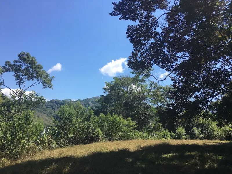 Land For Sale in Dominical, photo 12