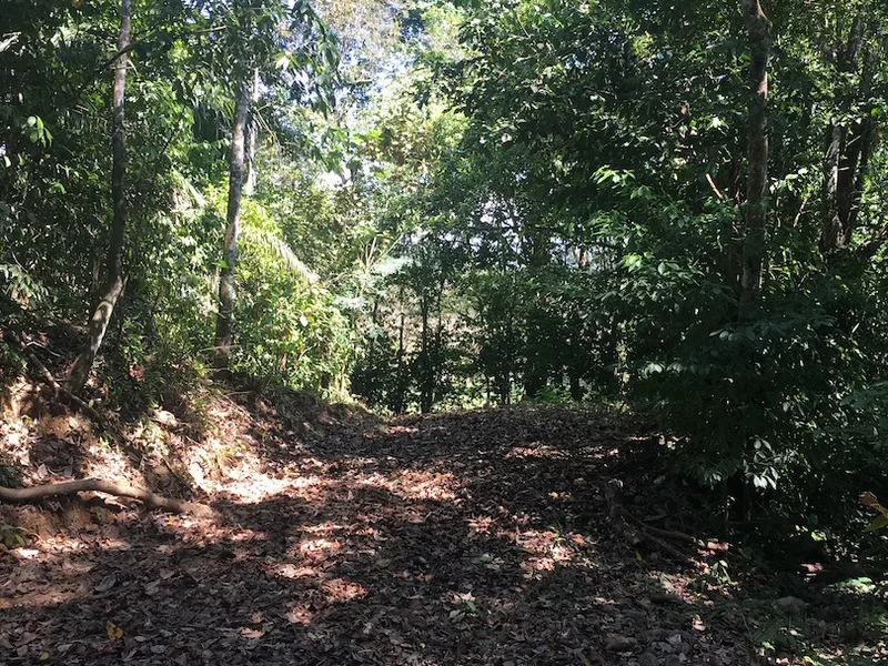 Land For Sale in Dominical, photo 13