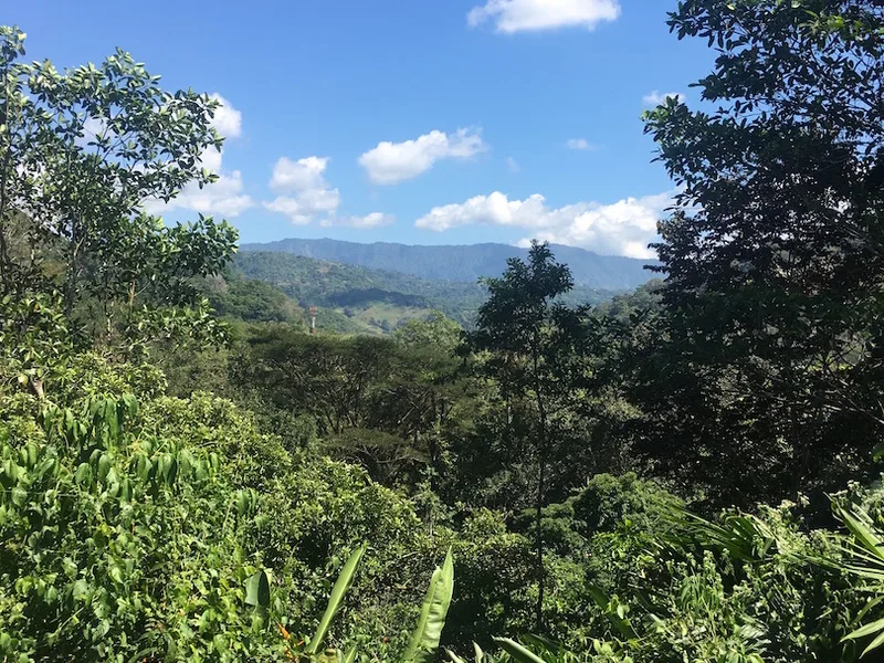Land For Sale in Dominical, photo 14