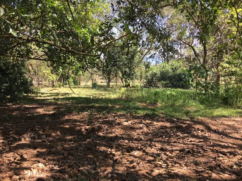 Land For Sale in Dominical, photo 15