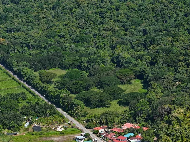 Land For Sale in Dominical, photo 3