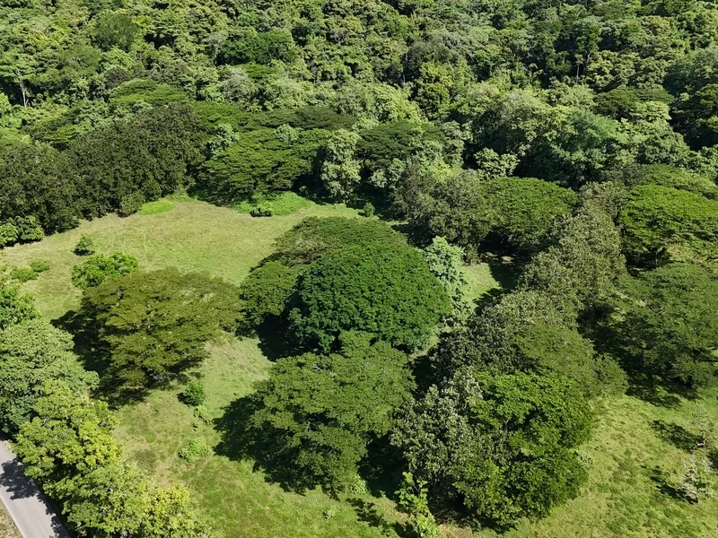 Land For Sale in Dominical, photo 6