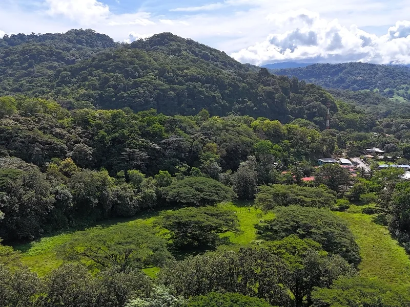 Land For Sale in Dominical, photo 7