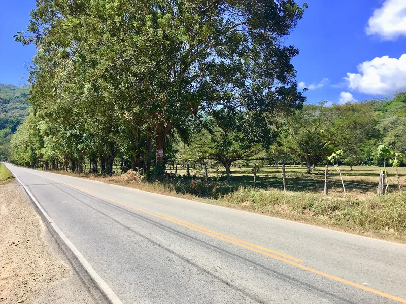 Land For Sale in Dominical, photo 9