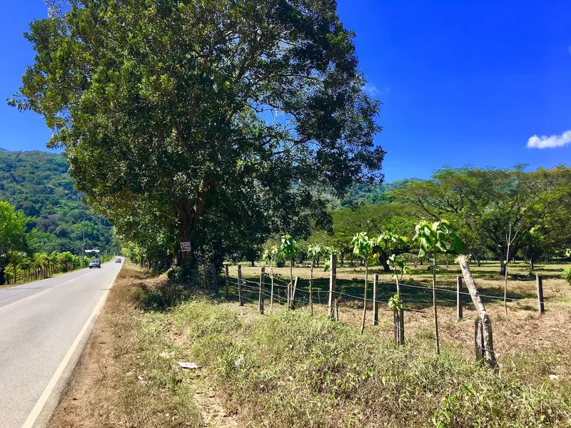 Land For Sale in Dominical, photo 10