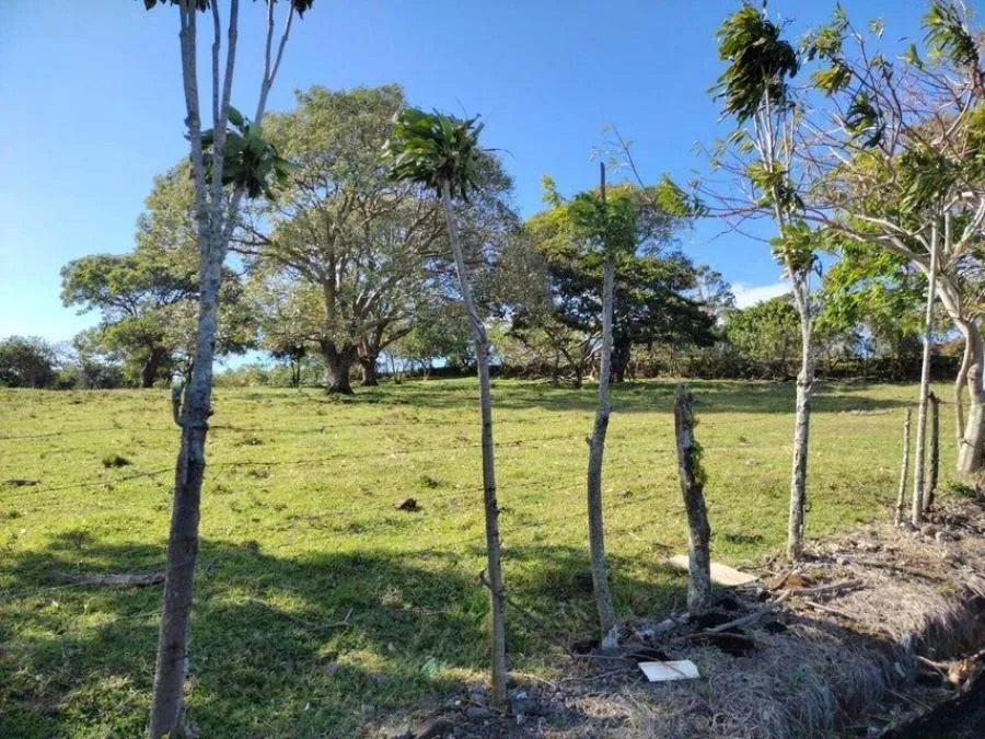 MLS-24-1192 LS VENTA LOTE DE 7.223M2 SAN RAFAEL HEREDIA  - Venta en San Rafael, photo 3