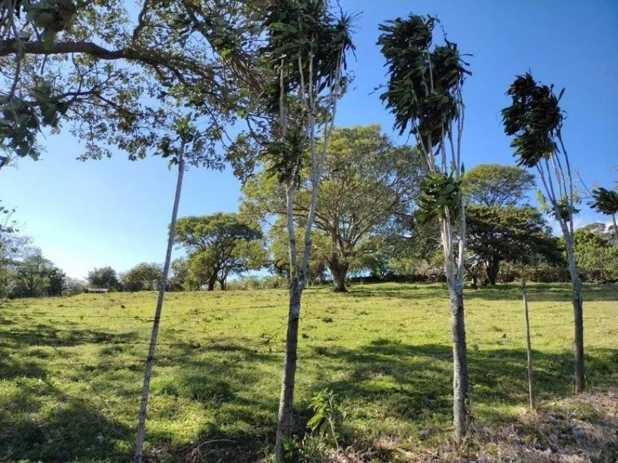 MLS-24-1192 LS VENTA LOTE DE 7.223M2 SAN RAFAEL HEREDIA  - Venta en San Rafael, photo 7