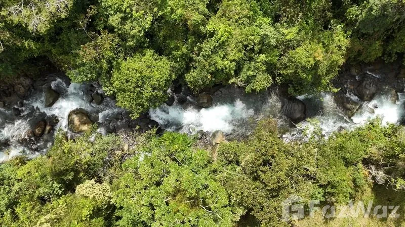 Land for Sale in Perez Zeledon, San Jose for $250,000, photo 11