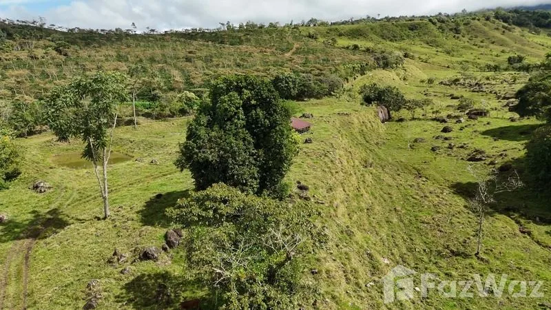 Land for Sale in Perez Zeledon, San Jose for $250,000, photo 12