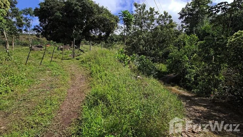 Land for Sale in Perez Zeledon, San Jose for $250,000, photo 13