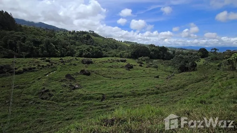 Land for Sale in Perez Zeledon, San Jose for $250,000, photo 14