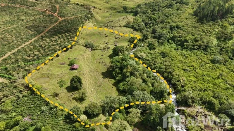 Land for Sale in Perez Zeledon, San Jose for $250,000, photo 4