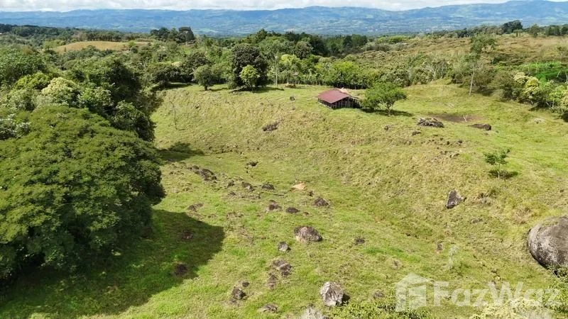 Land for Sale in Perez Zeledon, San Jose for $250,000, photo 5