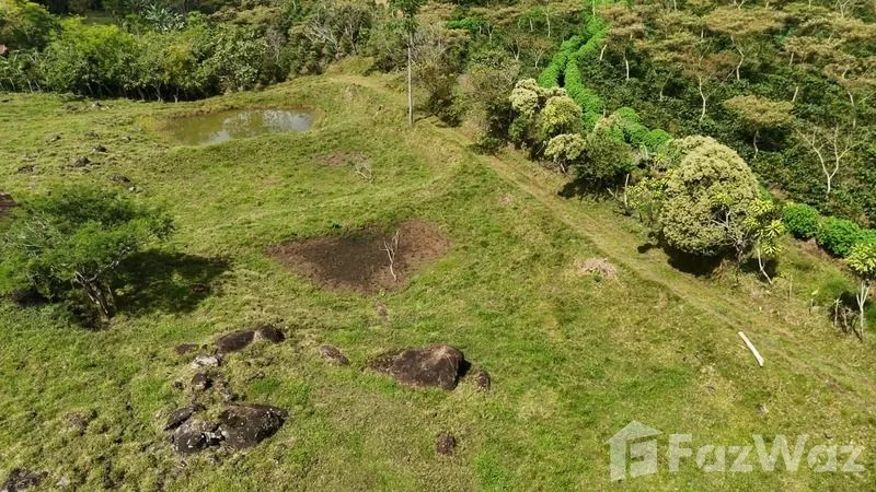 Land for Sale in Perez Zeledon, San Jose for $250,000, photo 6