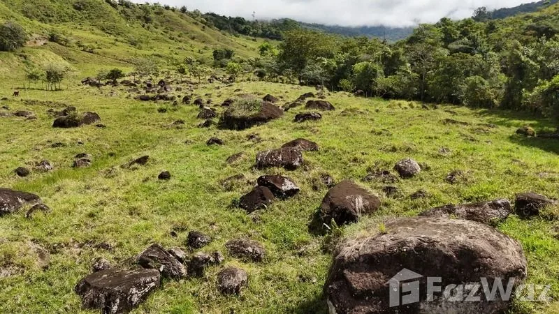 Land for Sale in Perez Zeledon, San Jose for $250,000, photo 7