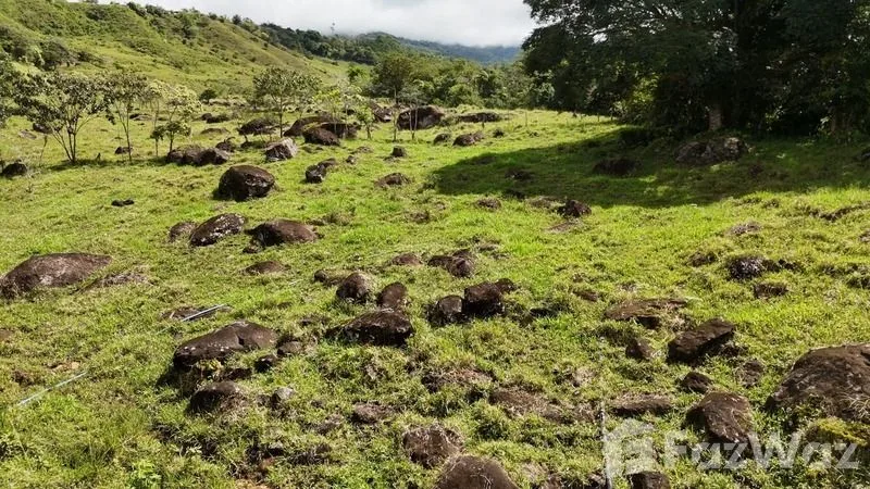 Land for Sale in Perez Zeledon, San Jose for $250,000, photo 8