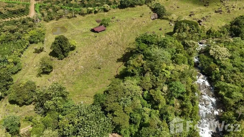 Land for Sale in Perez Zeledon, San Jose for $250,000, photo 9