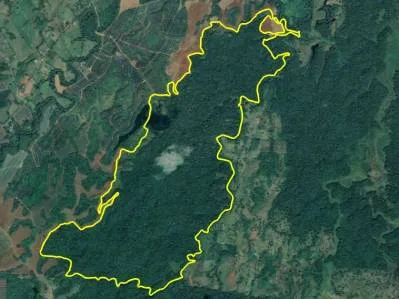 Reserva de 531 hectáreas de bosque primario para su conservación, Sarapiquí., photo 2