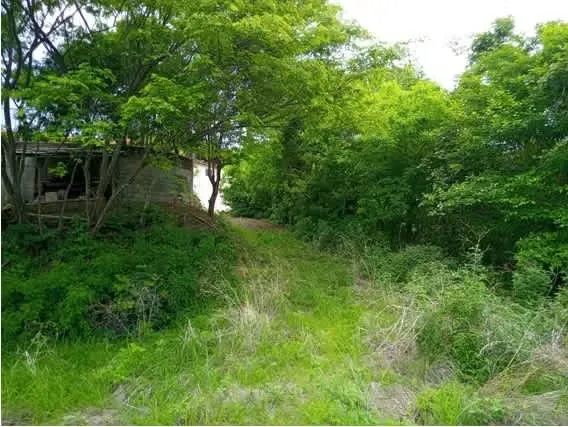 For sale Beautiful farm with a view in Flamingo, Guanacaste, photo 3
