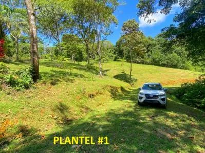 Terreno selvático en venta cerca de Ojochal | Costa Azul, Costa Rica, photo 2