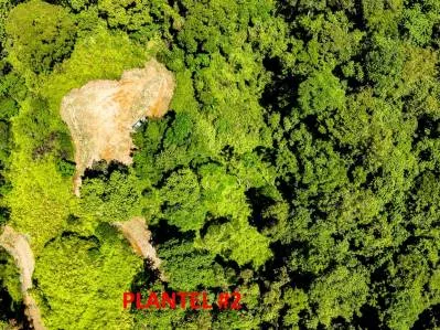 Terreno selvático en venta cerca de Ojochal | Costa Azul, Costa Rica, photo 3