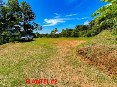 Terreno selvático en venta cerca de Ojochal | Costa Azul, Costa Rica, photo 4