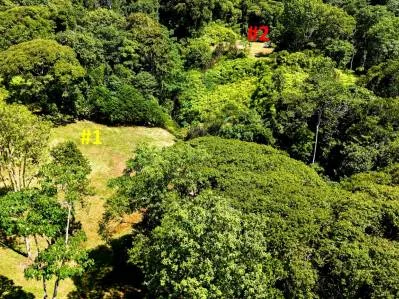Terreno selvático en venta cerca de Ojochal | Costa Azul, Costa Rica, photo 5