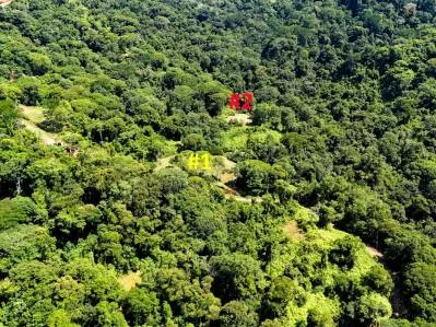 Terreno selvático en venta cerca de Ojochal | Costa Azul, Costa Rica, photo 6
