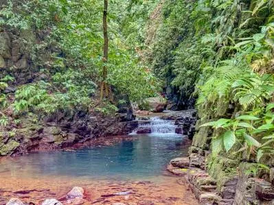 Terreno selvático en venta cerca de Ojochal | Costa Azul, Costa Rica, photo 8